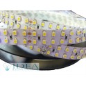 Strip led 1200 led SMD 5 mt. 6500K 24V