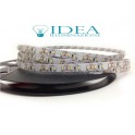 Strip led 600 led SMD 5 mt. 6500K 12V