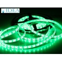 Strip led 300 led SMD 5 mt. Verde 12V