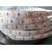 Strip led 300 led SMD 5 mt. 6500K 12V