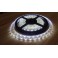 Strip led 300 led SMD 5 mt. 6500K 12V