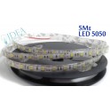 Strip led 300 led SMD 5 mt. 6500K 12V