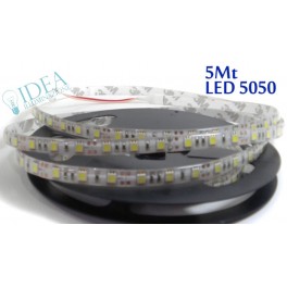 Strip led 300 led SMD 5 mt. 6500K 12V