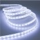 Strip led 300 led SMD 5 mt. 6500K 12V