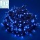 Serie luminosa natalizia 100 Led Blu con Controller 